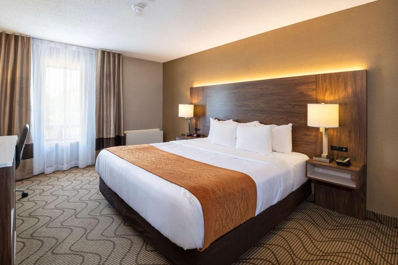Comfort Inn Lakeshore Норт-Бей Екстер'єр фото