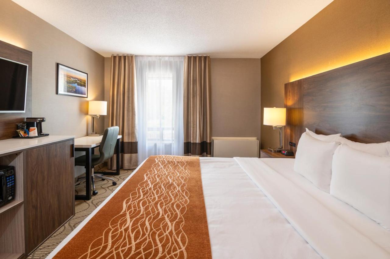 Comfort Inn Lakeshore Норт-Бей Екстер'єр фото